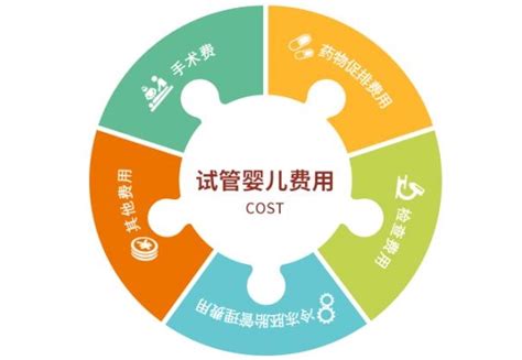 曼谷BCC试管婴儿医院排行榜公布!附助孕费用 2024年试管婴儿费用多少 - 一代、二代、三代价格明细 - 久久助孕网